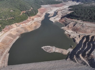 Yeşil Bursa Kurudu!