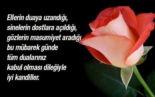 Mevlid Kandili Mesajları, Kandil Mesajları, 2025 Kandil Mesajları Nelerdir? Resimli Kandil Mesajı, Ayetli, Hadisli, Dualı Mesajlar...