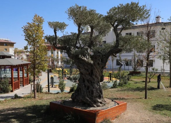 Hatay'da Deprem Konutları Tamam!