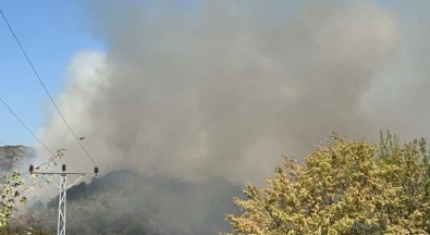 Düzce'de Orman Yangını! Ekipler Müdahaleye Başladı...