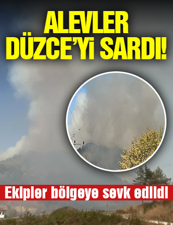 Düzce'de Orman Yangını! Ekipler Müdahaleye Başladı...