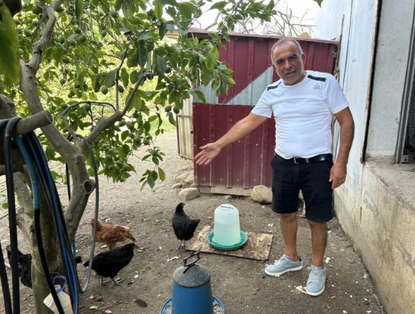 HATAY'DA TAVUKLAR TELEF OLDU!