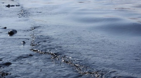 Karadeniz'de Petrol Heyecanı!