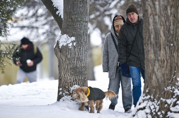 Meteoroloji Uyardı! Çığ Tehlikesi...