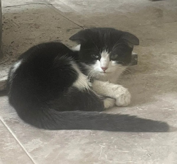 İnsanlık Ölmemiş Dedirtti! Sivas'ta Yürek Isıtan Olay...