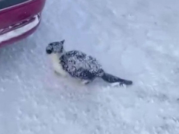 İnsanlık Ölmemiş Dedirtti! Sivas'ta Yürek Isıtan Olay...