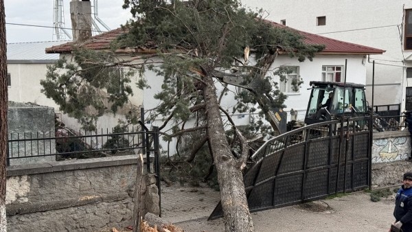İznik’te Lodos Dehşeti! Dev Ağaç Okul Bahçesine Devrildi