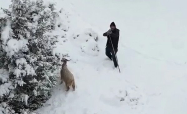 Drone Gören Çoban Namluyu Doğrulttu!