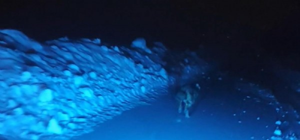 Canlarını zor kurtardılar! Görüntülemek istedikleri...