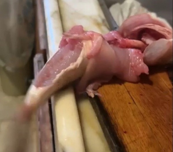 İçi Temizlenen Balık Dakikalarca Çırpındı!