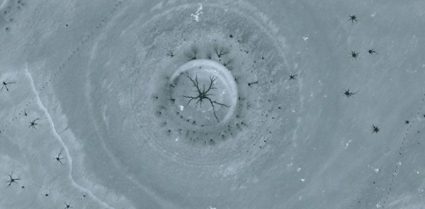 Doğanın Sanatı Hayran Bıraktı!