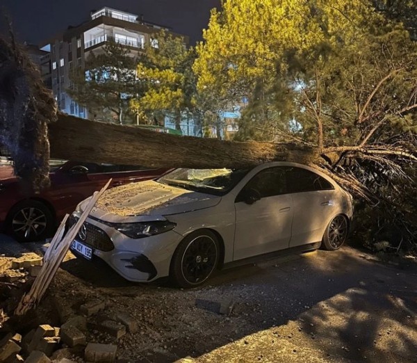 Denizli'de Fırtına! Ağaçlar Devrildi