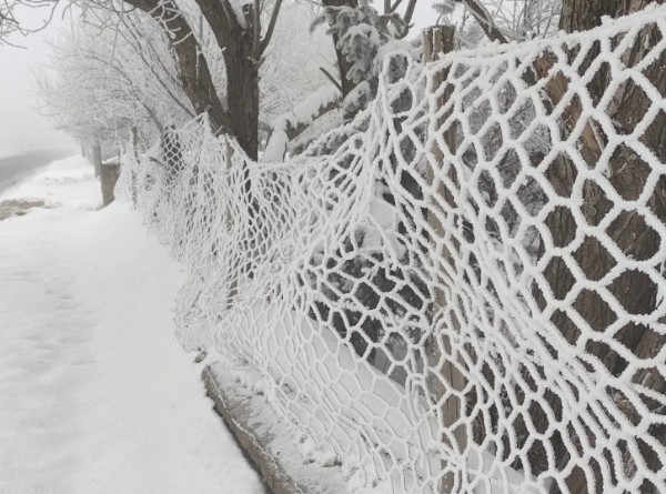 Ardahan'da Soğuk Hayatı Felç Etti!