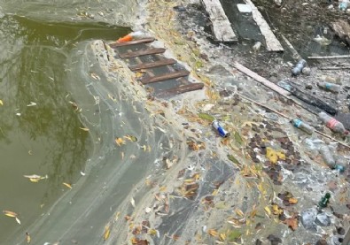 Bakırköy'de Rezalet! Ölüme Terkedildi...