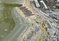 Bakırköy'de Rezalet! Ölüme Terkedildi...