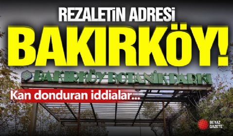 Bakırköy'de Rezalet! Ölüme Terkedildi...