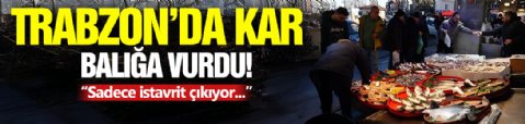Trabzon'da Kar Ve Fırtına Balığa Vurdu!