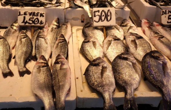 Trabzon'da Kar Ve Fırtına Balığa Vurdu!