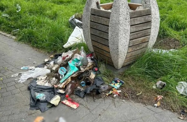 Bakırköy'de Rezalet! Ölüme Terkedildi...