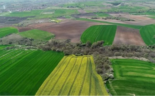 Milyonları İlgilendiren Düzenleme! AK Parti Harekete Geçti...