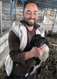 4 Gözlü Kuzu Hayrete Düşürdü! Haberi