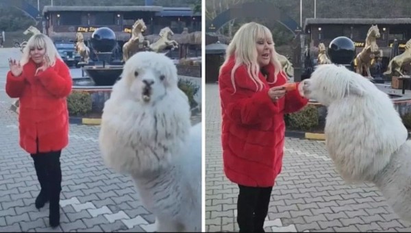 Safiye Soyman'ın Yüzüne Tükürdü
