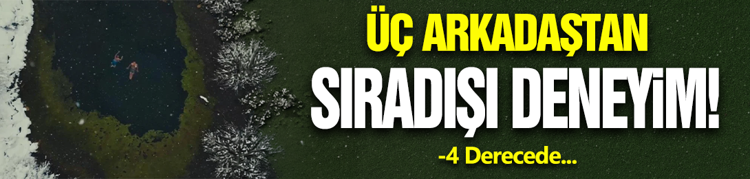 -4 Derecede Yüzdüler!