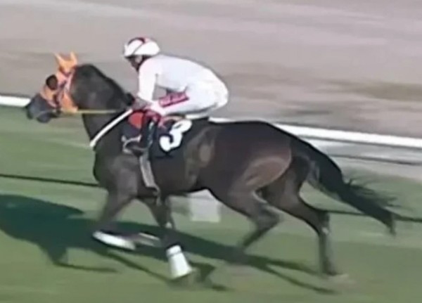 CHP'li Belediyenin Kavurması Attan Geldi!