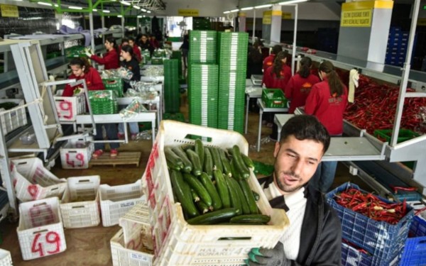 İran savaşı sonrası Türkiye'den Rusya'ya sebze ihracatı arttı