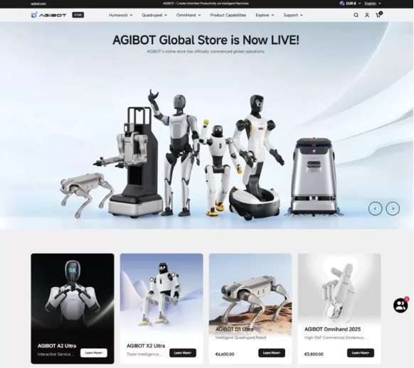 İnsansı Robot Kiralama Devri Başladı!