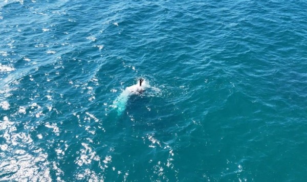 Antalya’da Balıkçı Teknesi Battı! Denize Atlayarak Kurtuldular