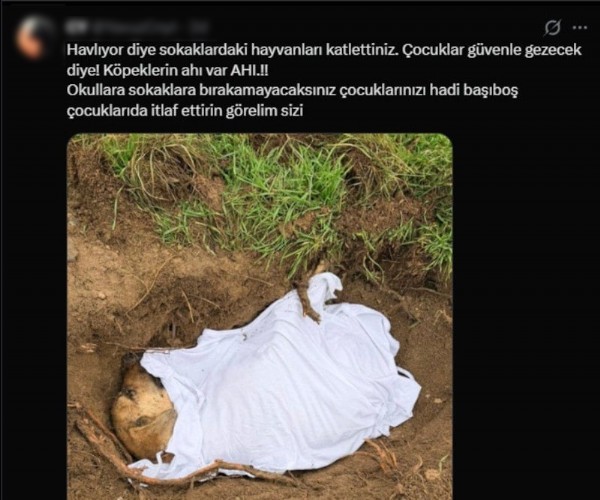 Provokatörler Sahneye Çıktı! Sözde Hayvanseverden Okul Saldırılarına İlişkin Paylaşım