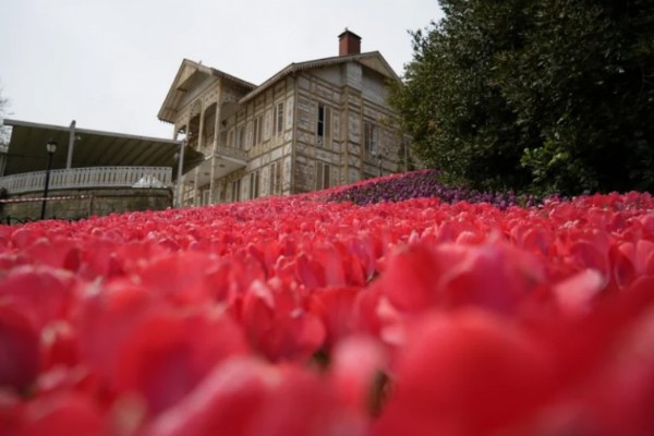 İstanbul'da lale dönemi başladı
