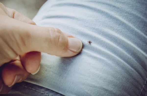 Yazın Çocukları Bekleyen Gizli Tehlike! Uzmanlar Aileleri Tek Tek Uyardı